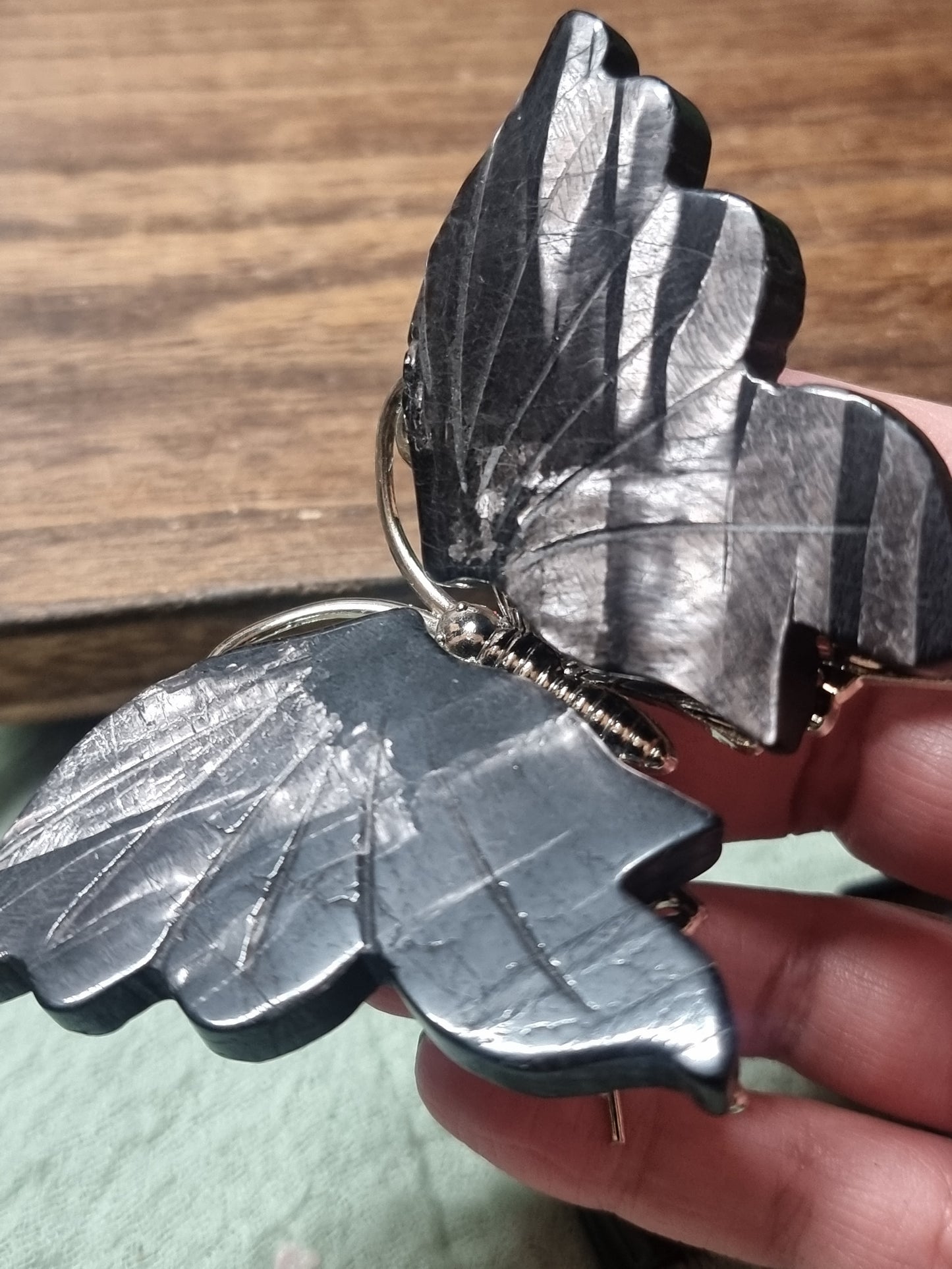 Hypersthene butterfly