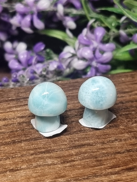 Larimar mini mushrooms