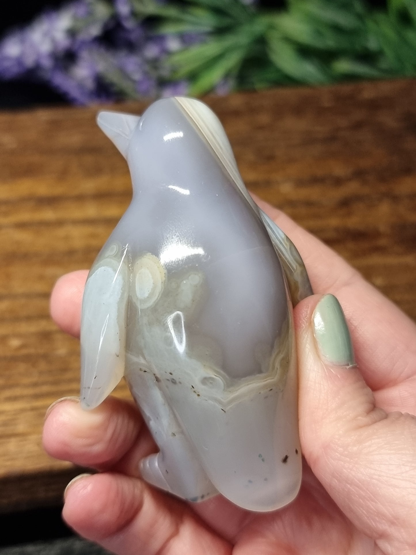 Agate penguin C