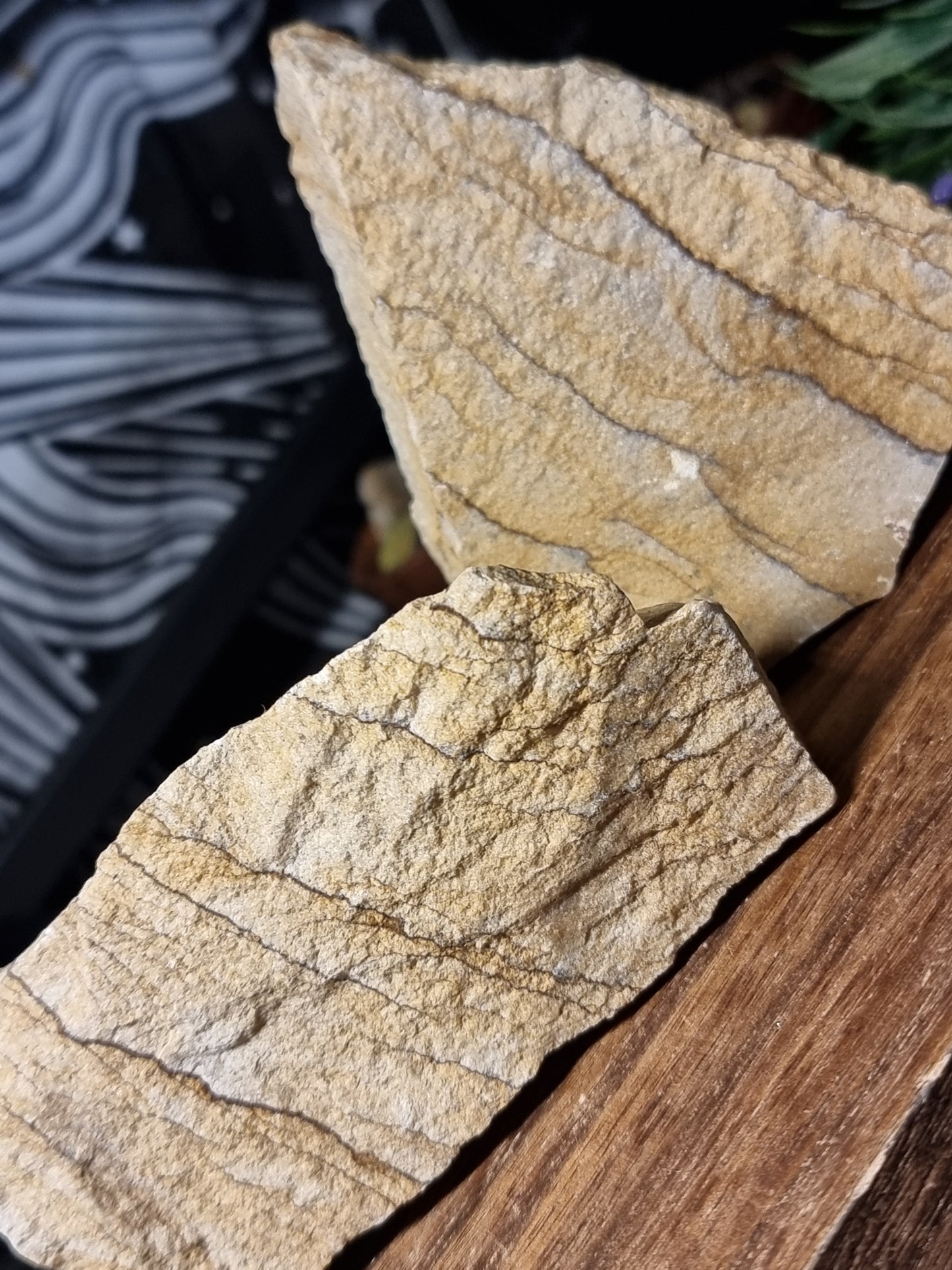 Raw kalahari picture jasper