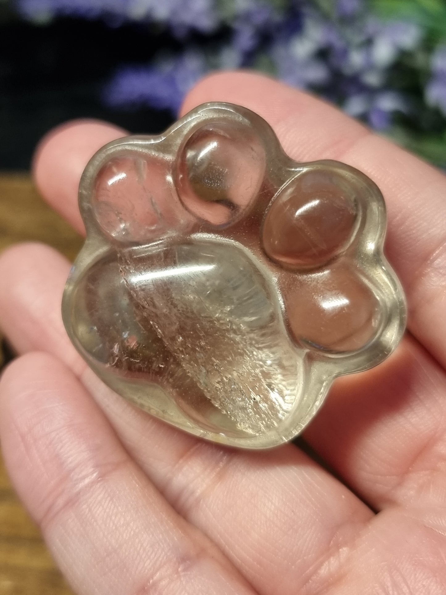 Quartz paws