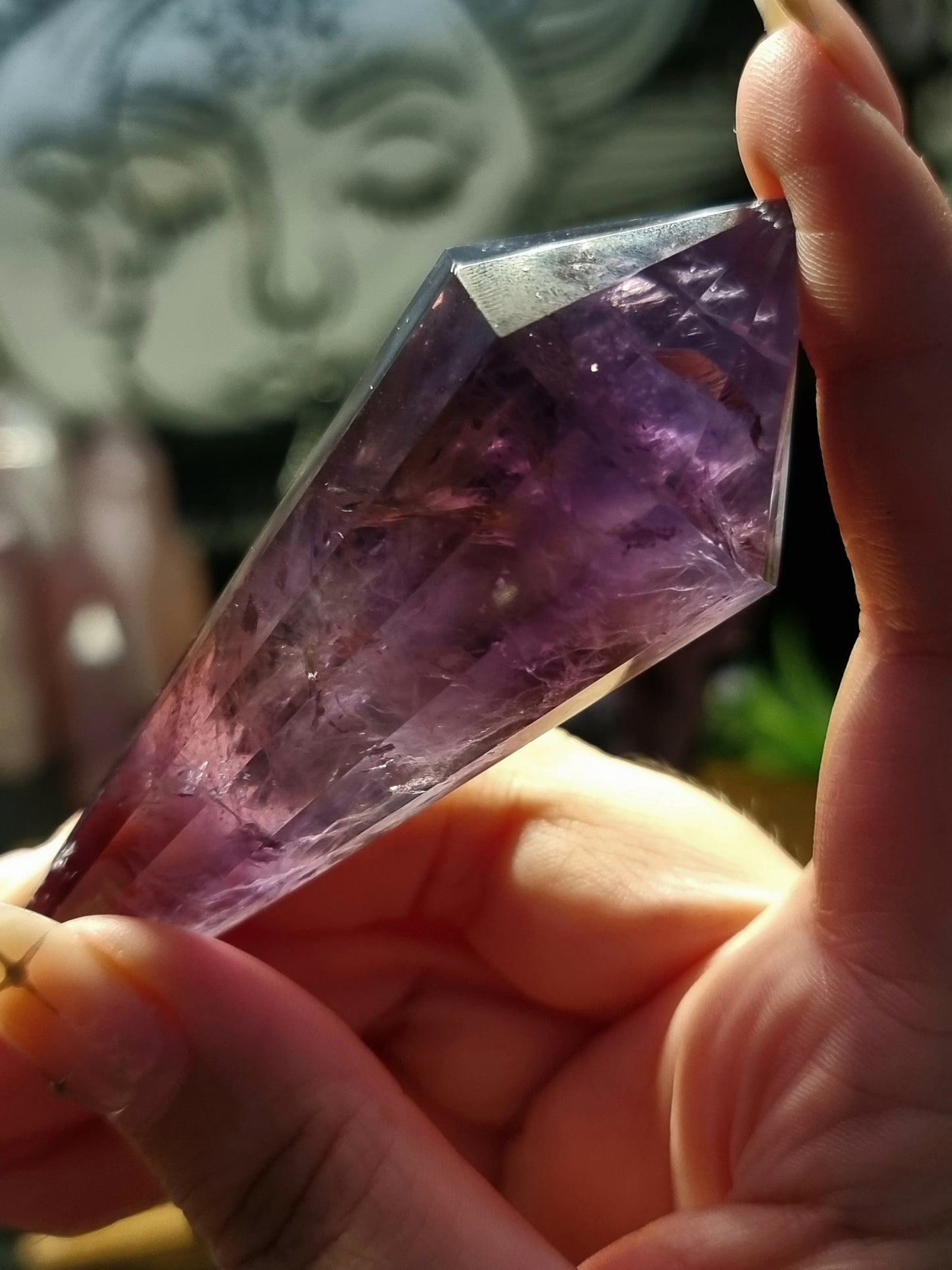 Amethyst vogels