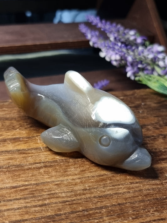 Orca agate dolphin