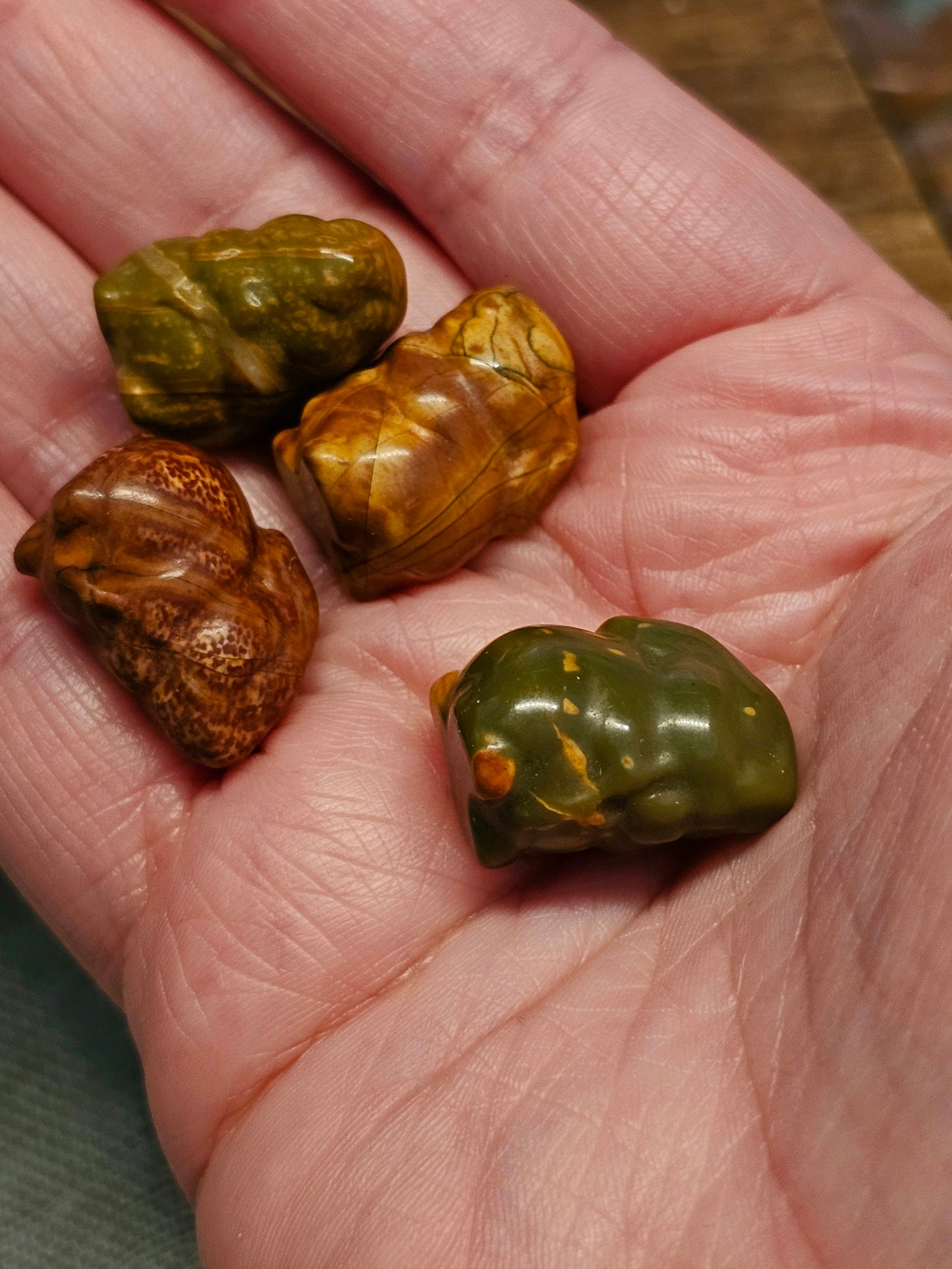 Mini jasper rabbits