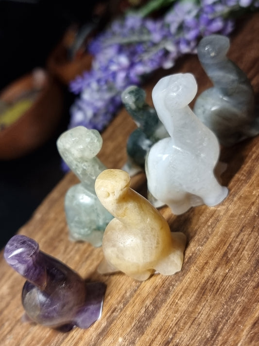 Dinosaur carvings