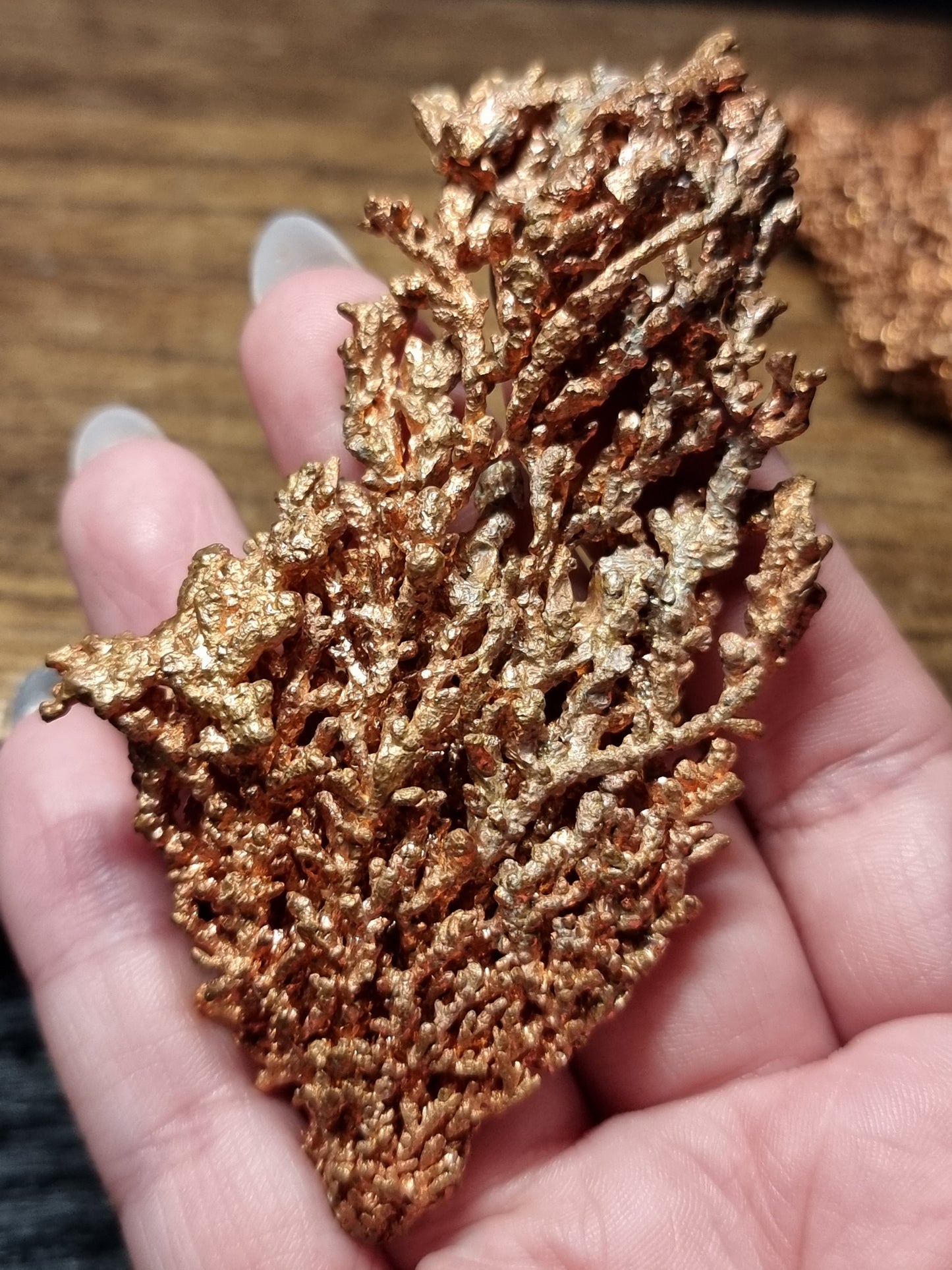 Native dendritic copper