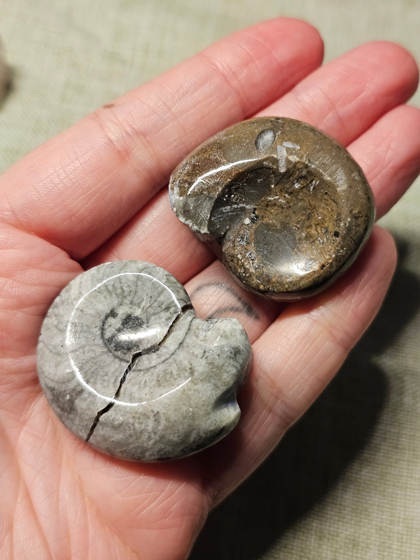 . Freebies *one per box sent