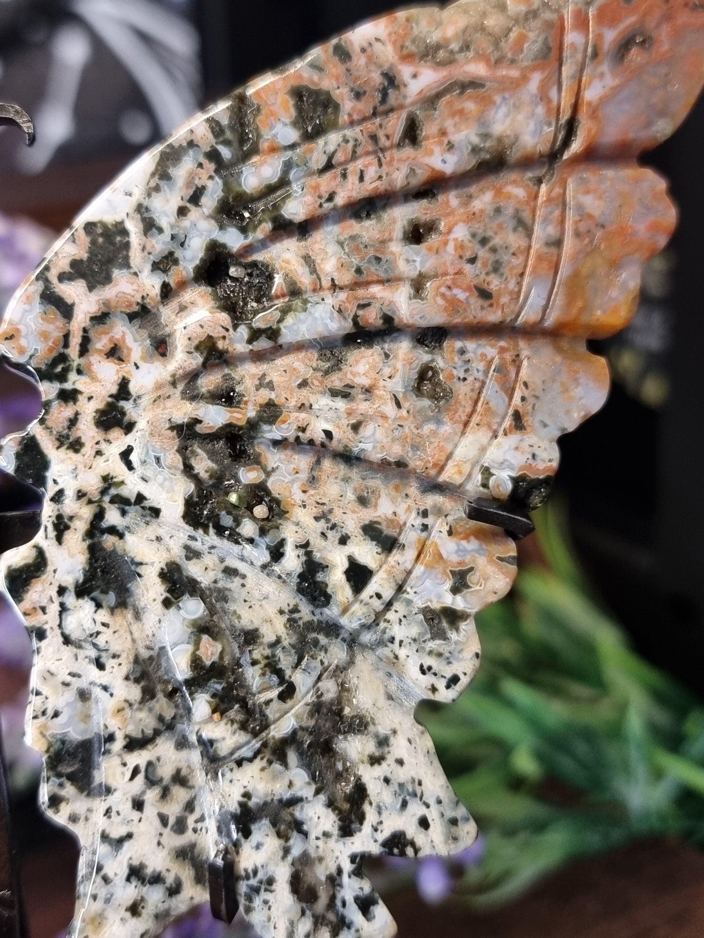 Cosmic ocean jasper butterfly wings