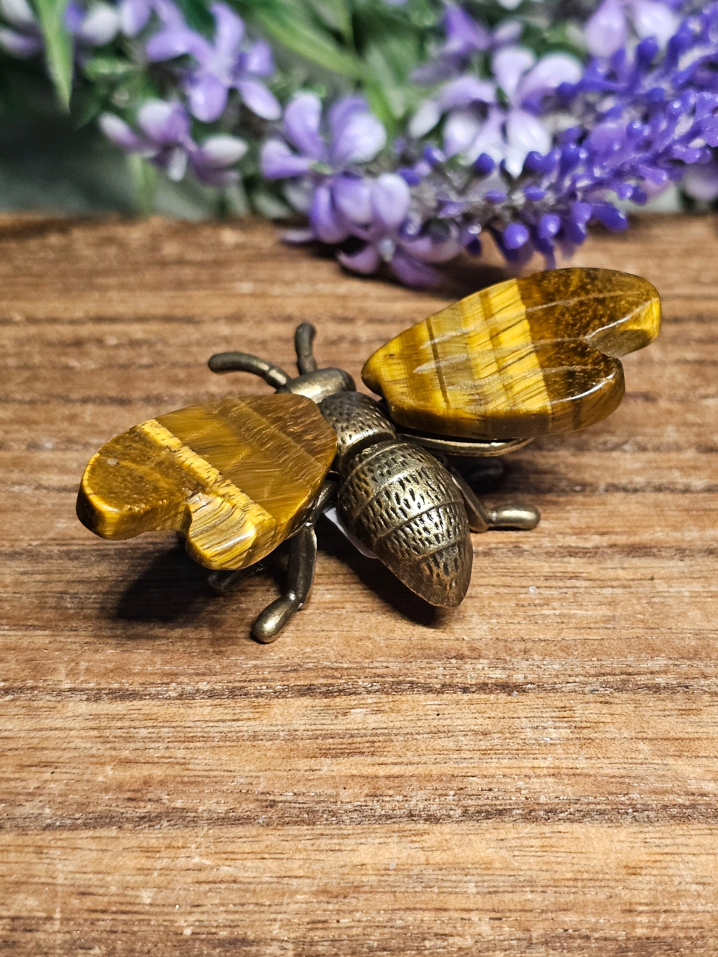 Tigers eye brass bee