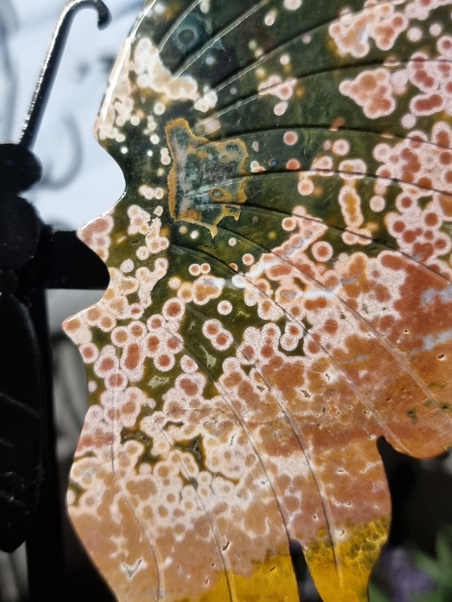 8th vein ocean jasper butterfly wings