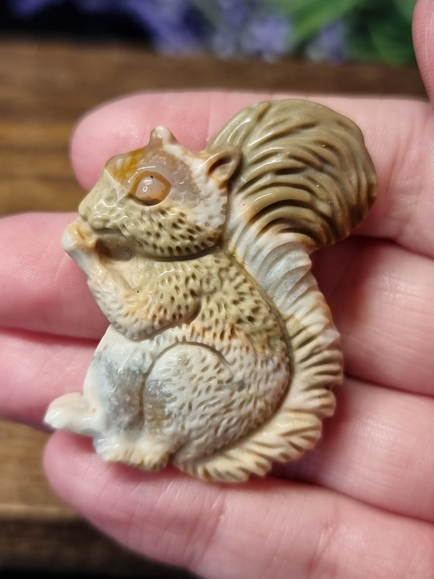 Wild horse picture jasper squirrels