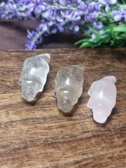 Platypus carvings