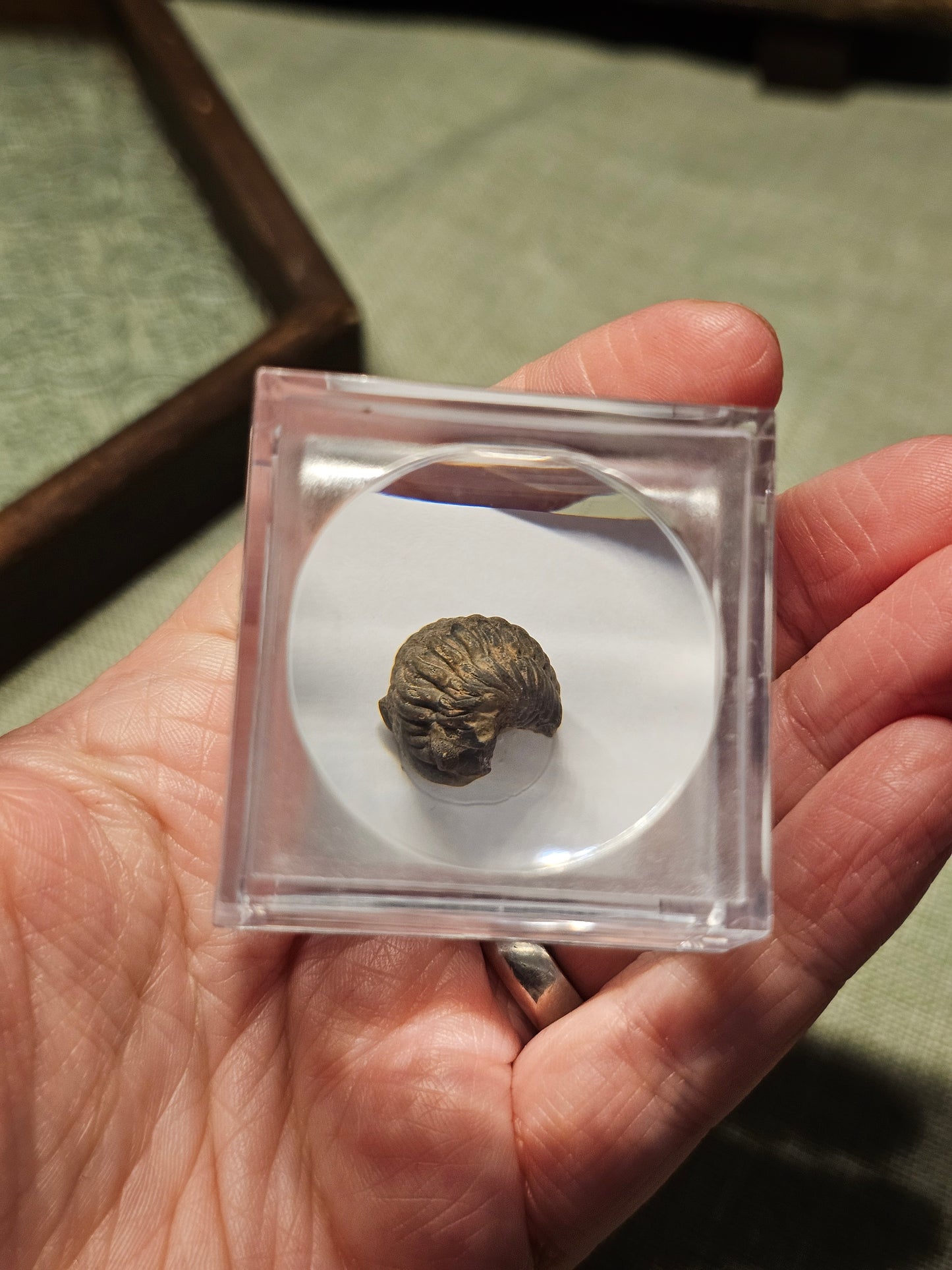 . Freebies *one per box sent