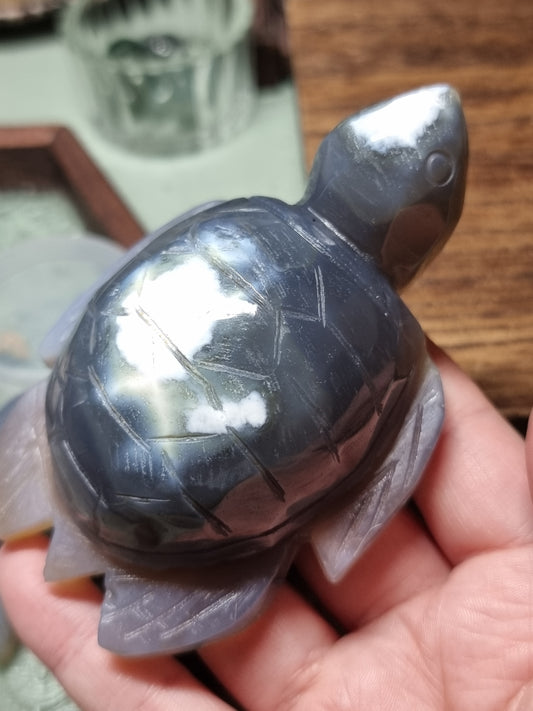 Orca agate turtles
