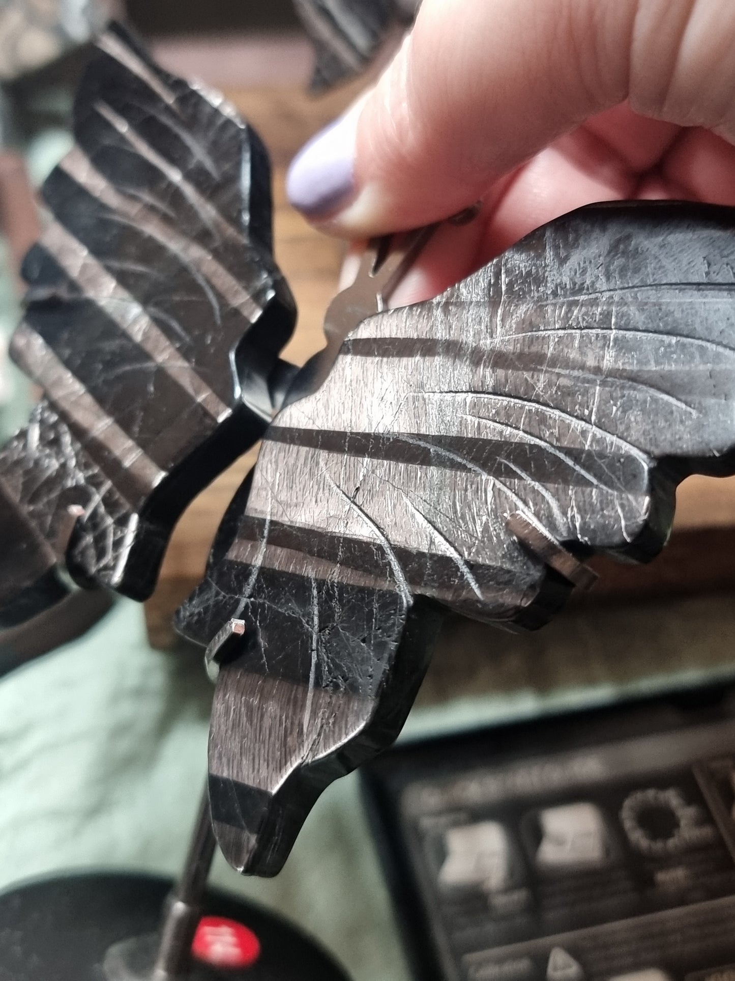 Hypersthene butterfly wings