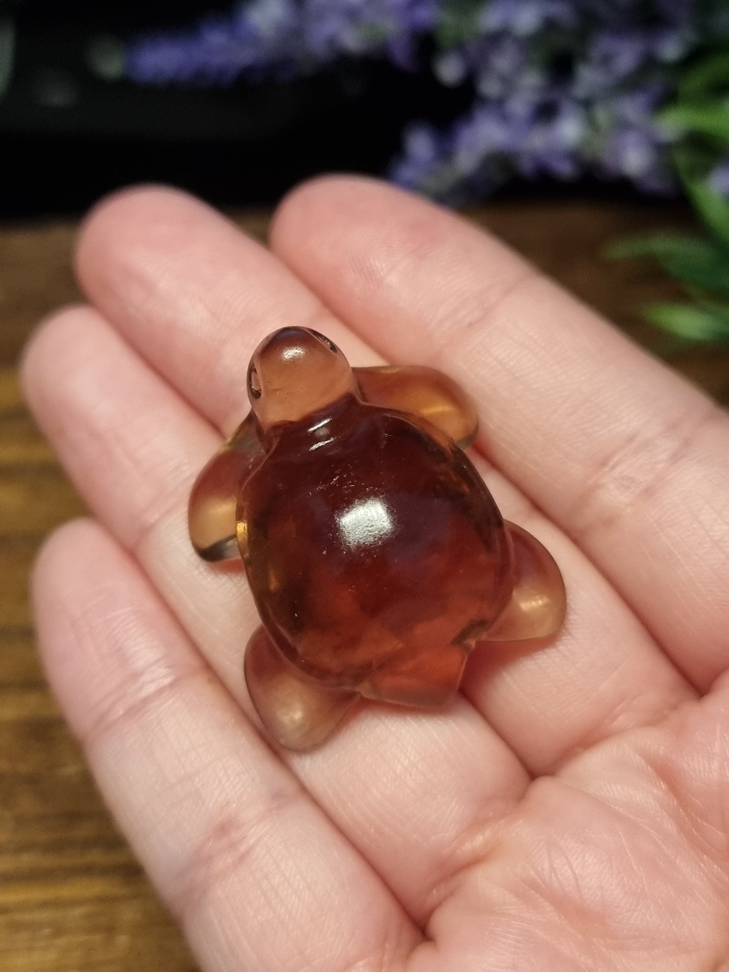 Turtle carvings