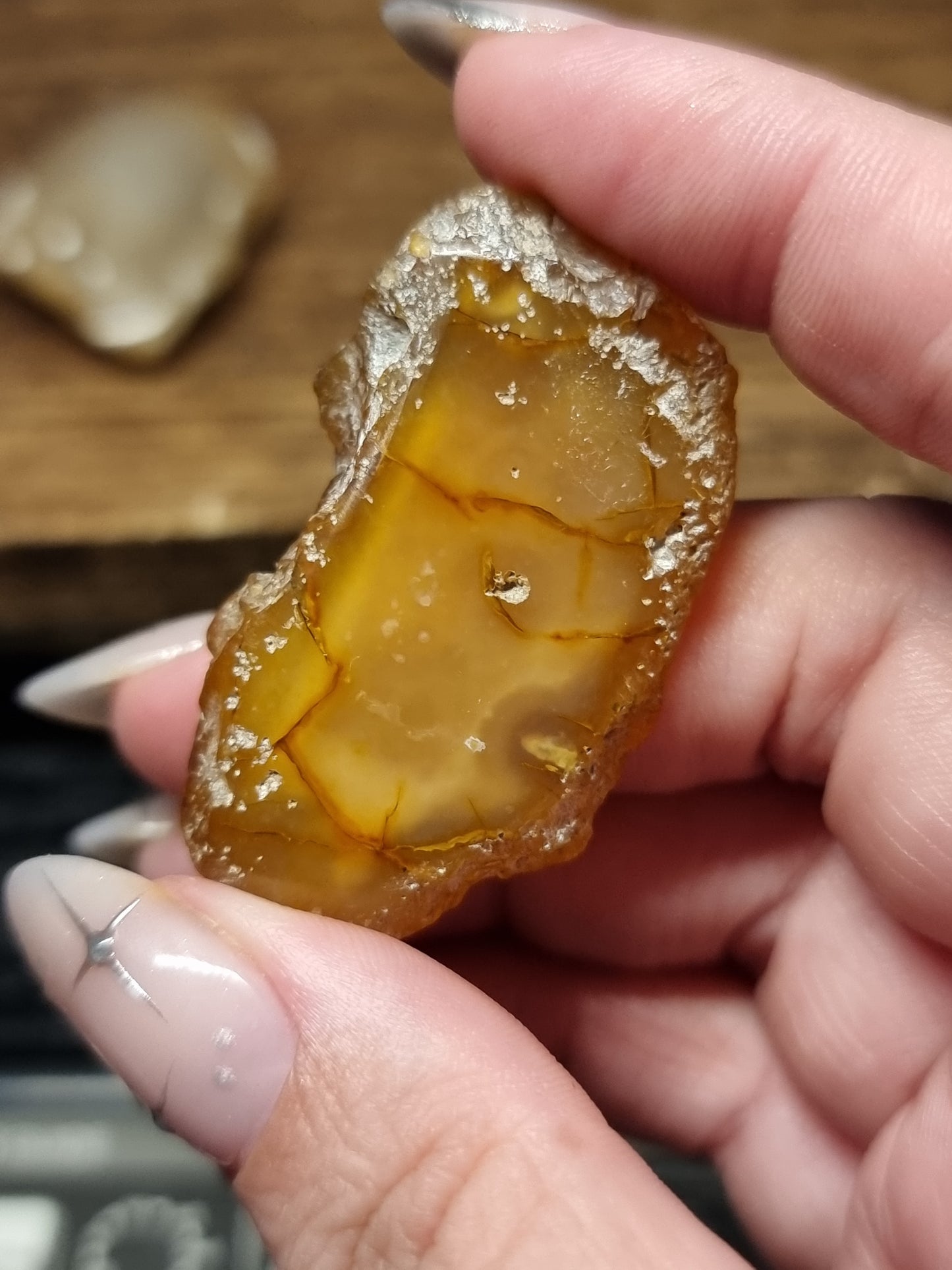 Agate enhydros