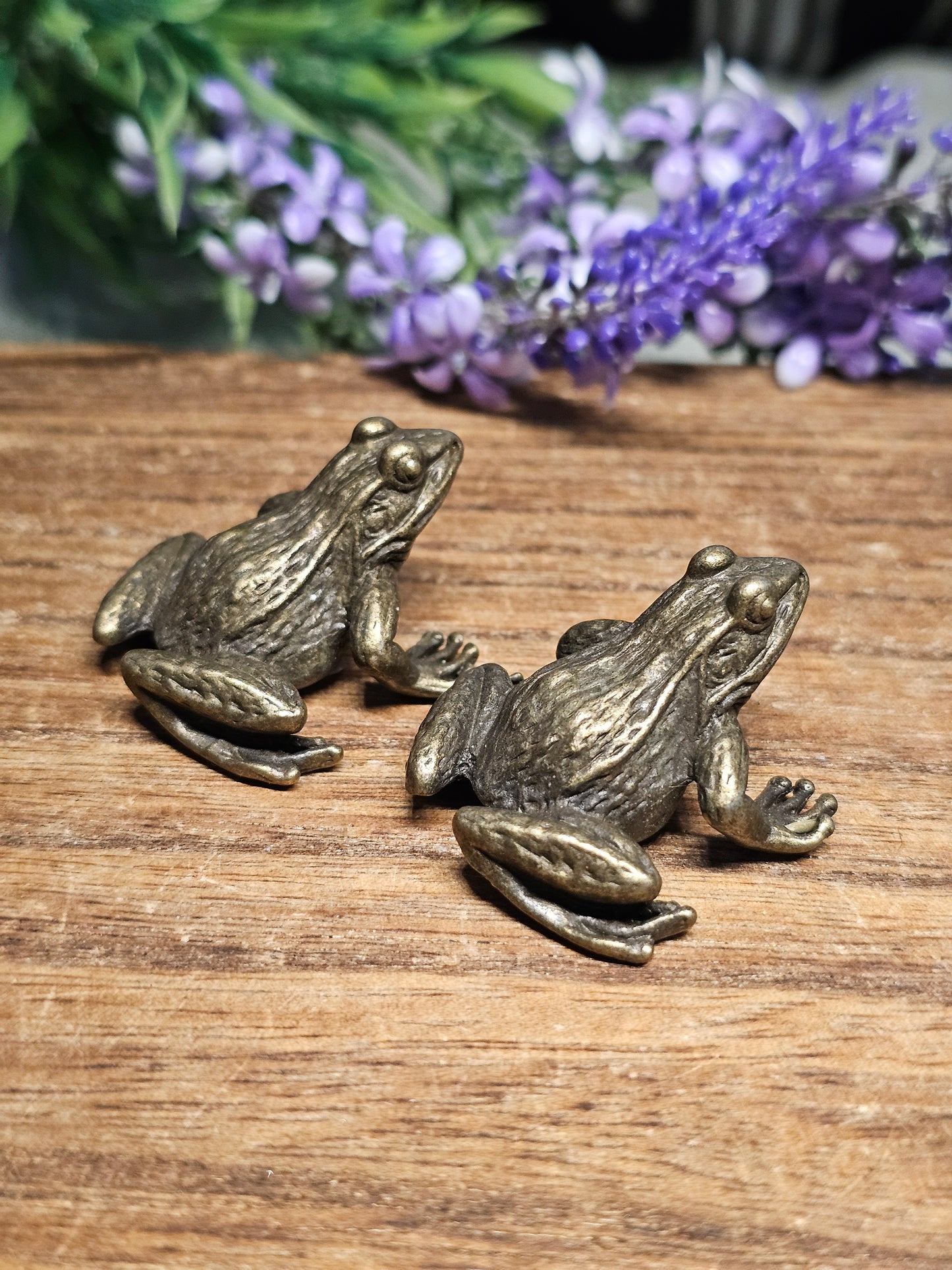 Brass frog carvings