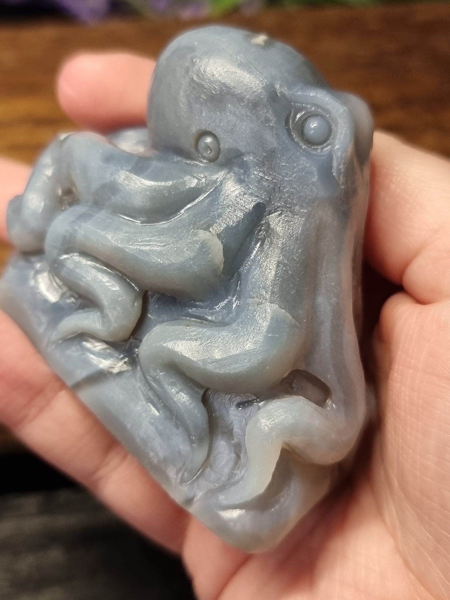 Agate octopus