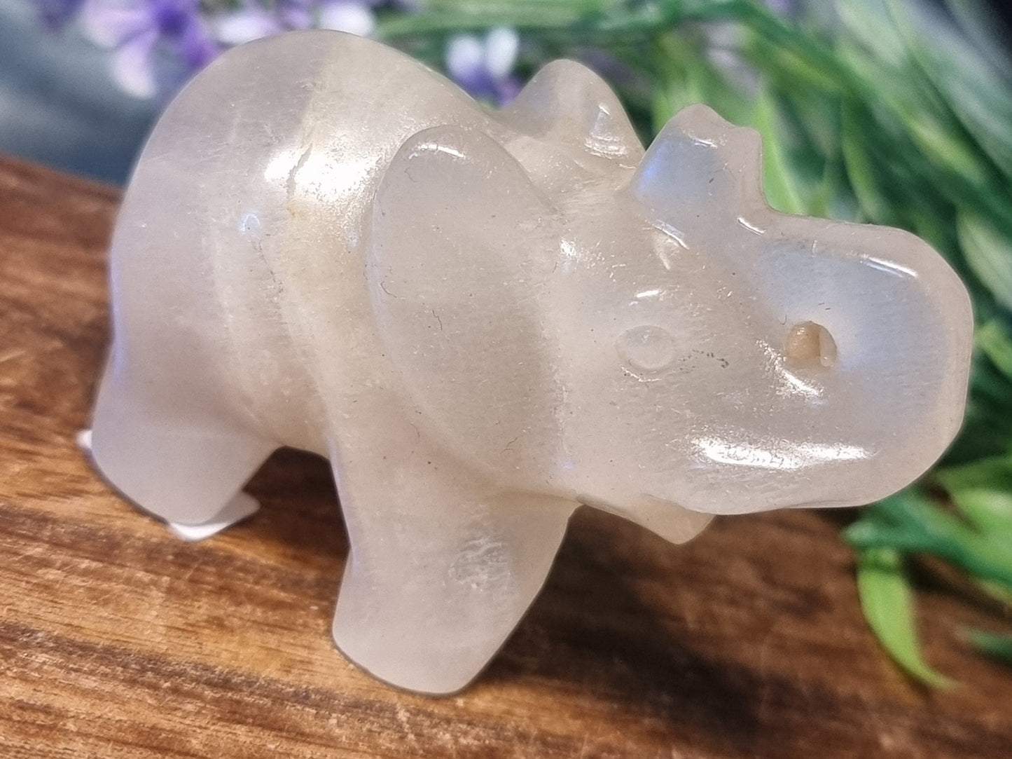 High quality moonstone elephant