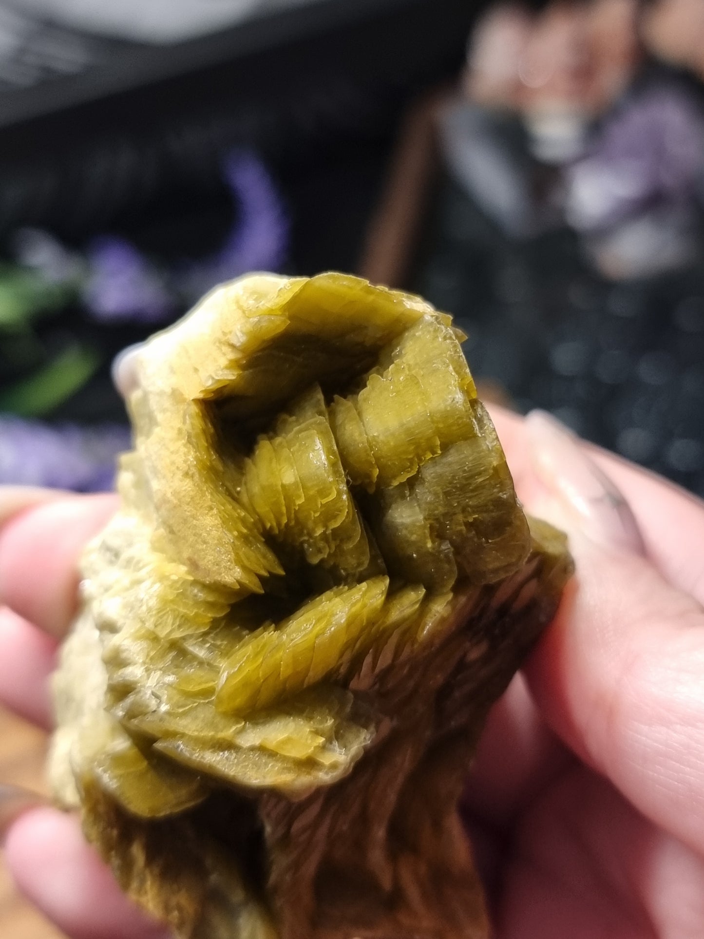 Siderite with microline pyrite