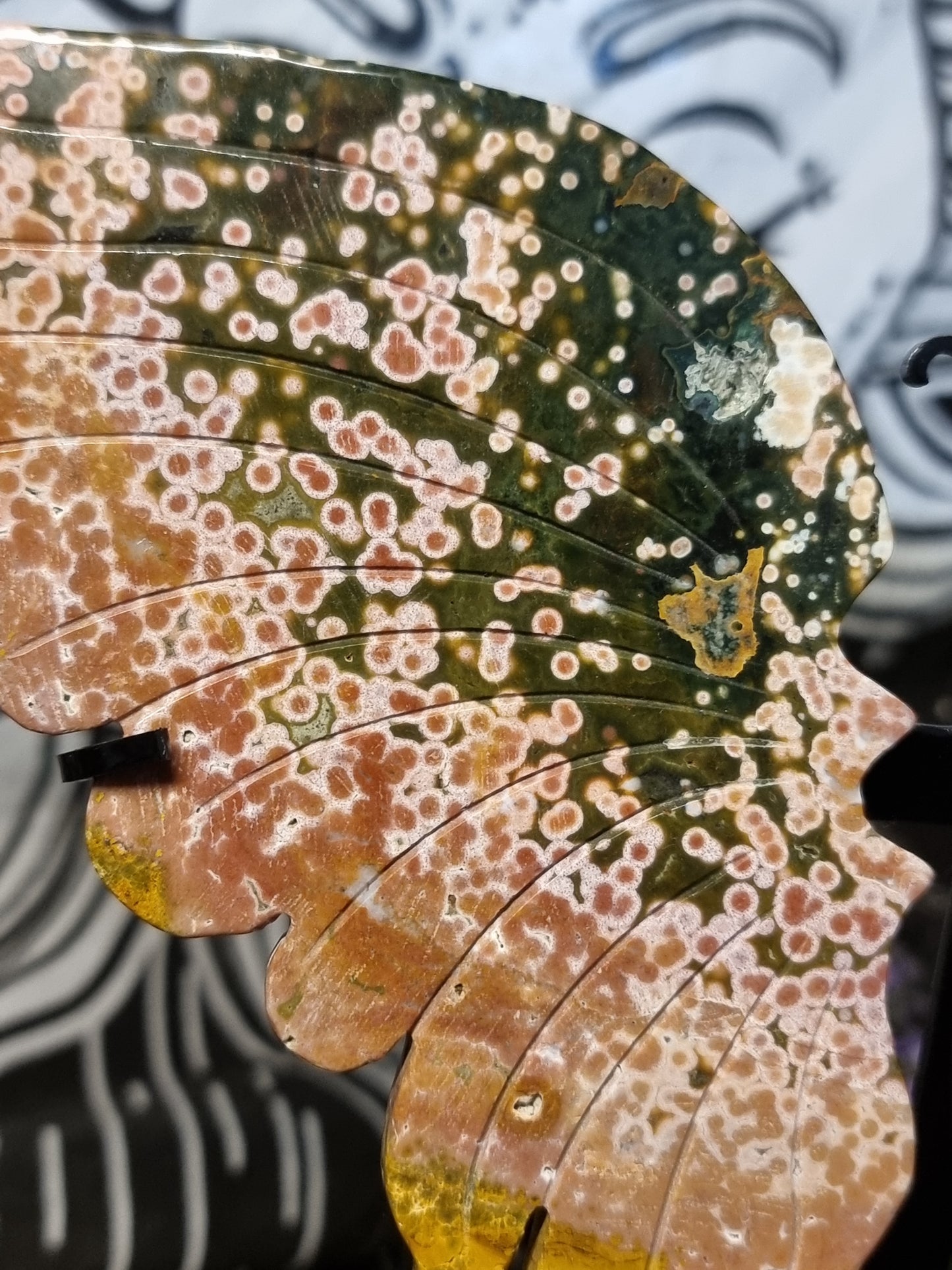 8th vein ocean jasper butterfly wings