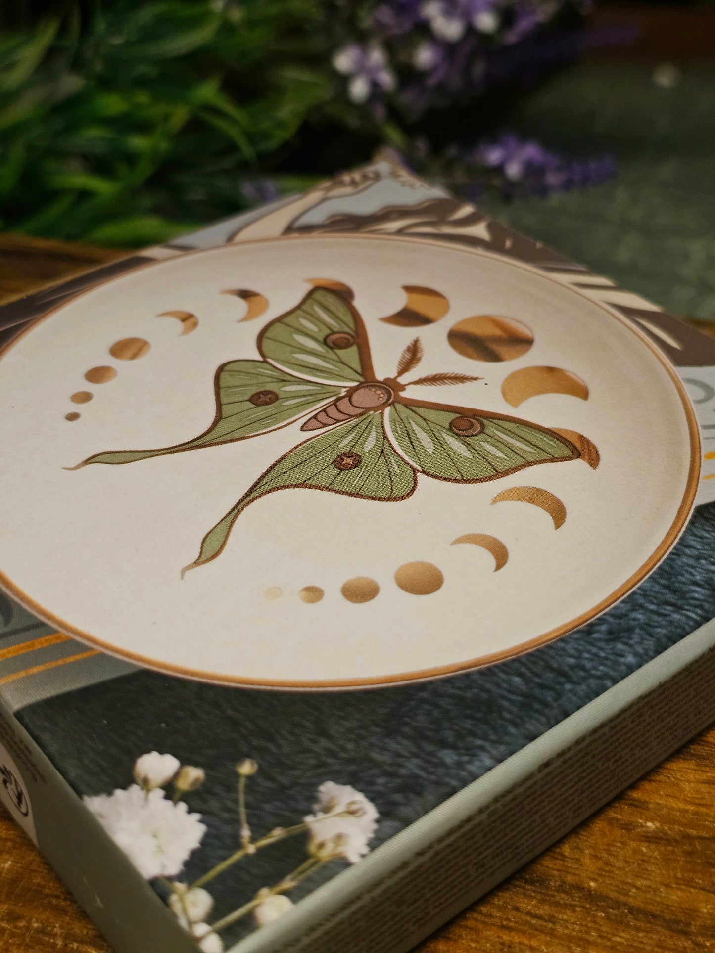 Moonphase moth trinket dish