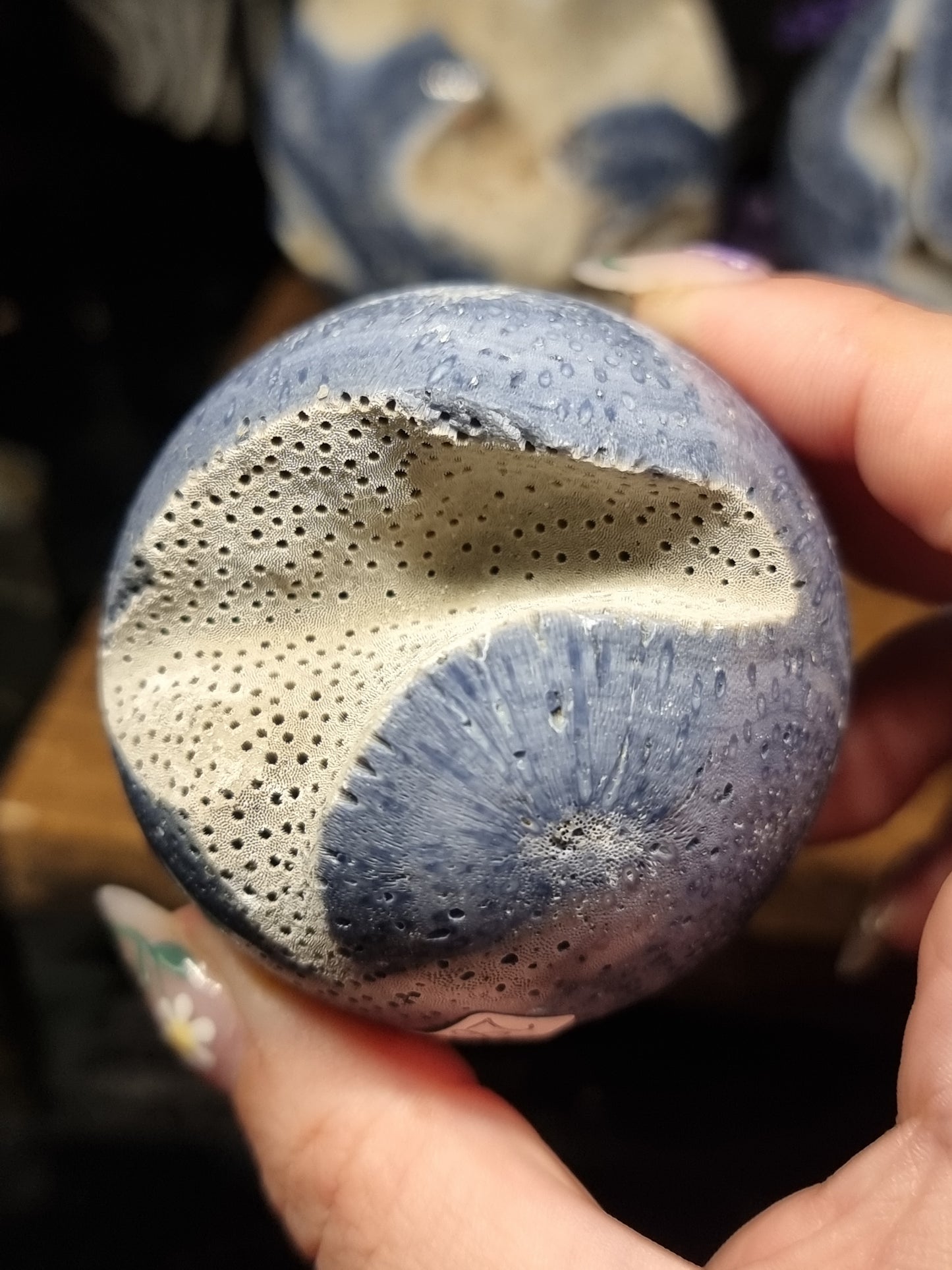 Blue coral spheres (natural)
