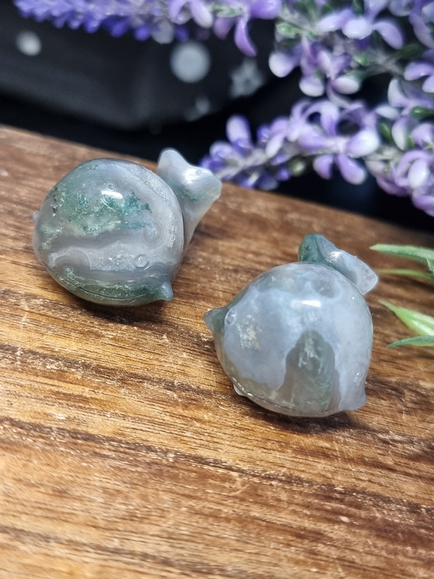 Moss agate whales