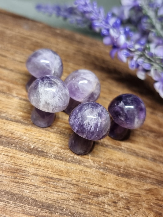 Amethyst mini mushrooms