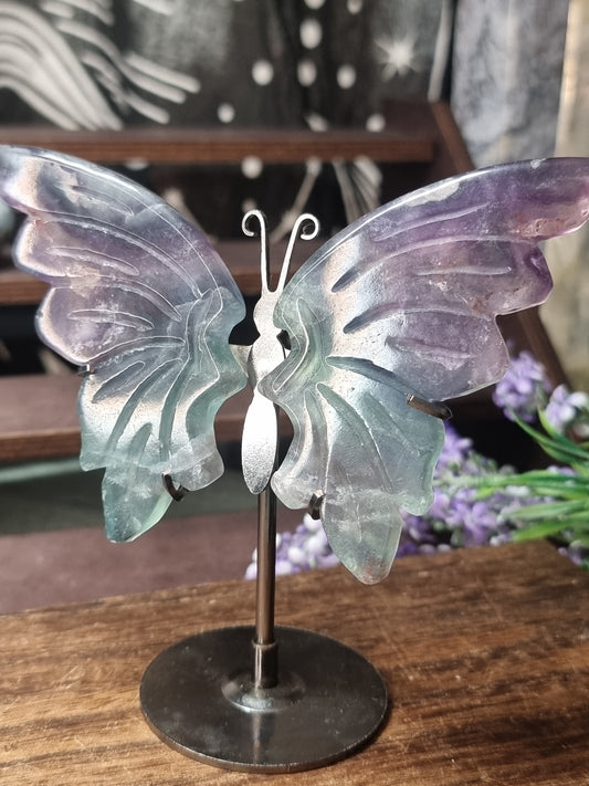Fluorite butterfly wings