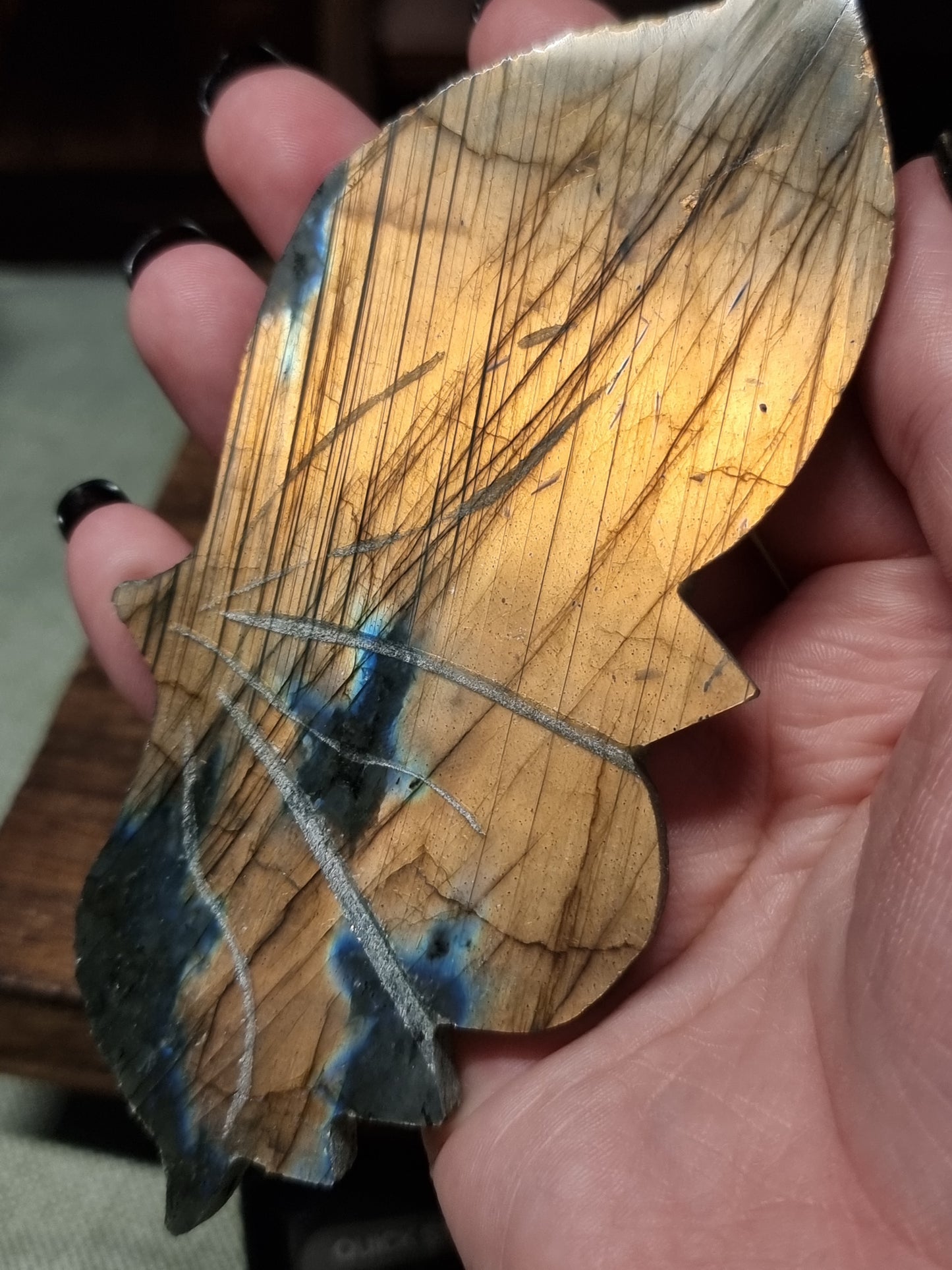 Sunset labradorite butterfly