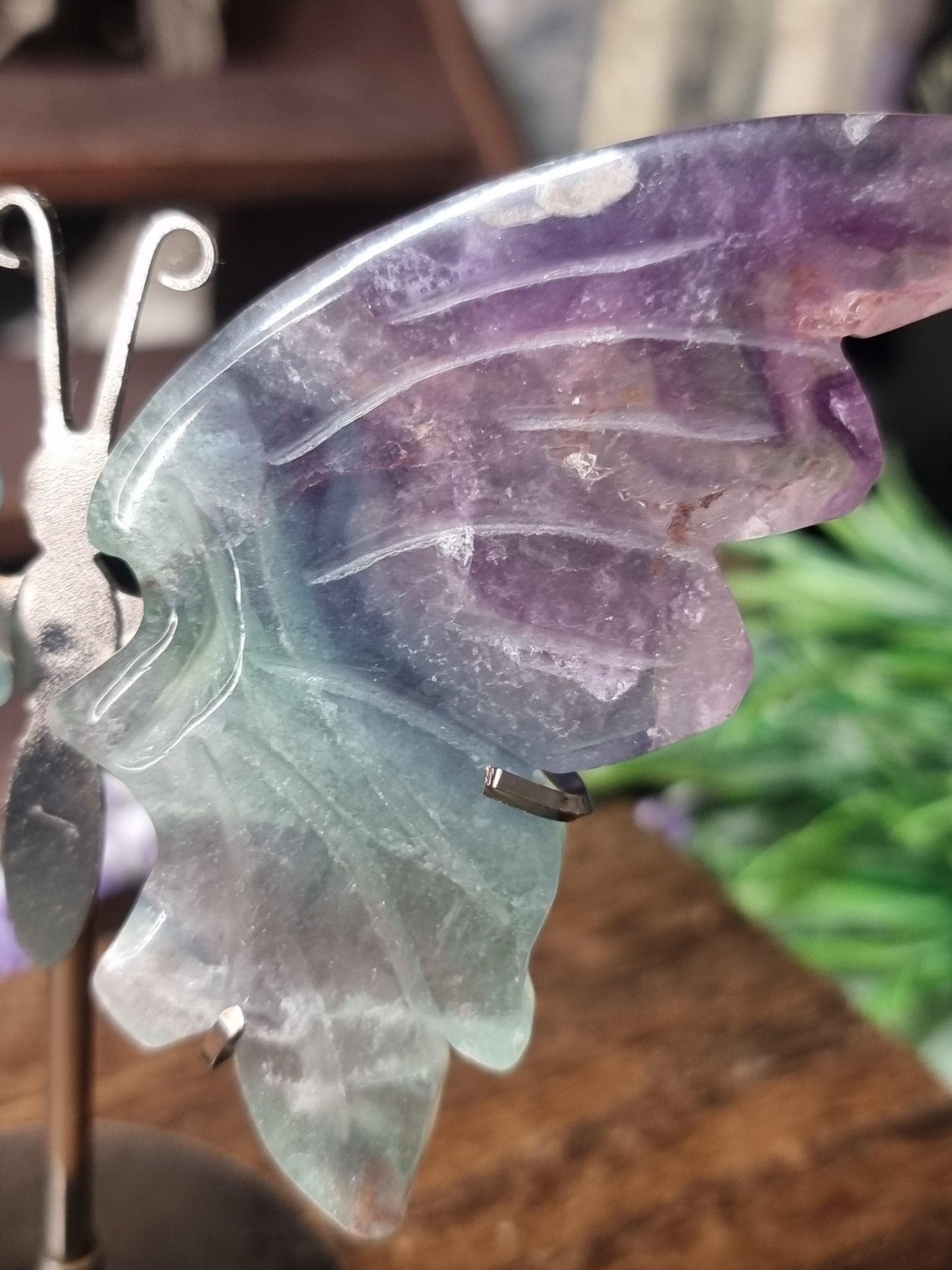 Fluorite butterfly wings
