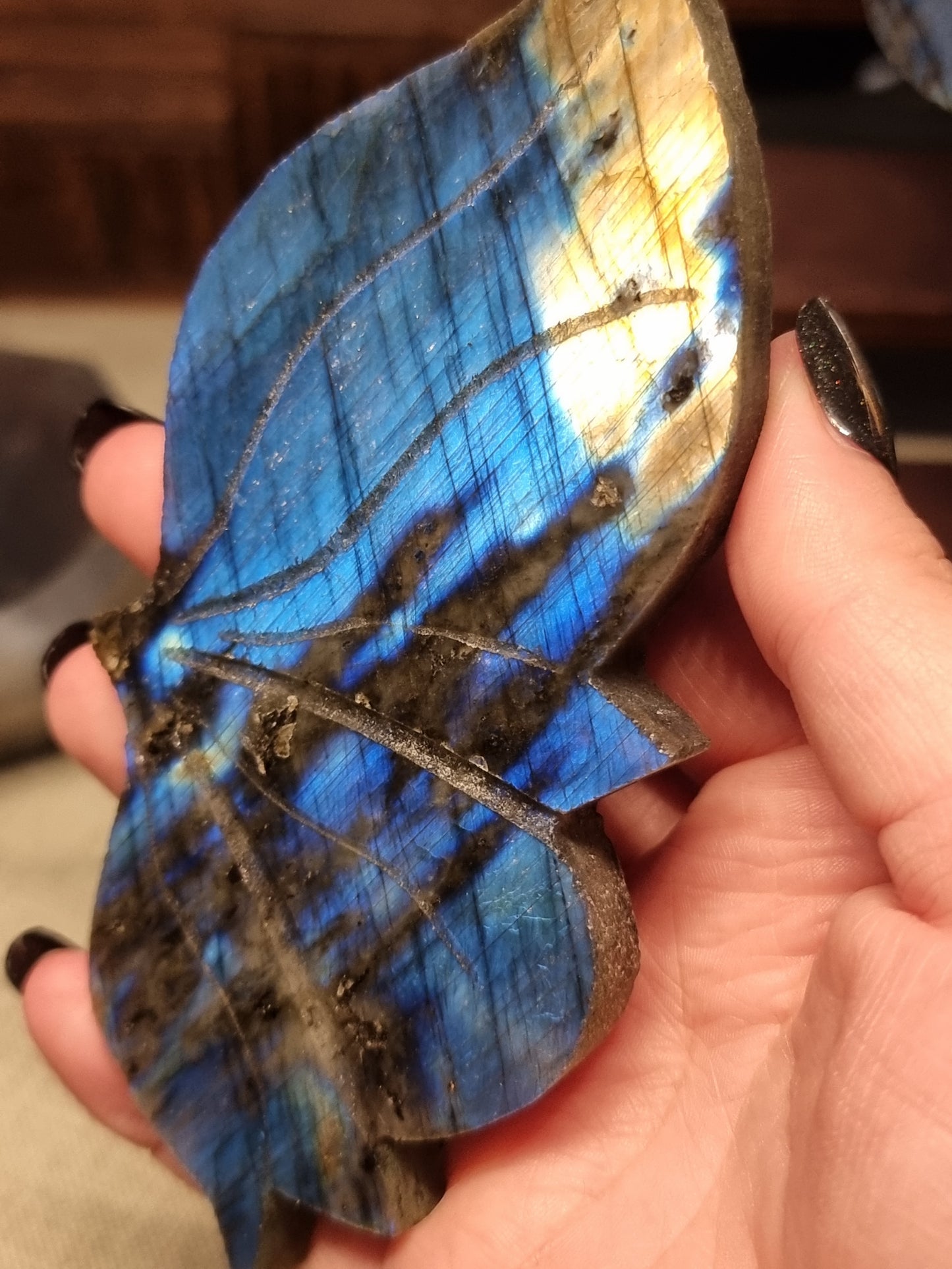 Blue labradorite butterfly