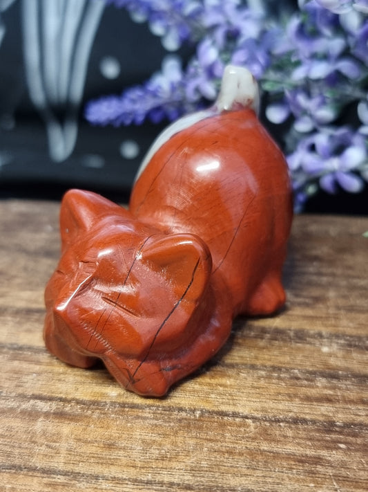 Red jasper cat