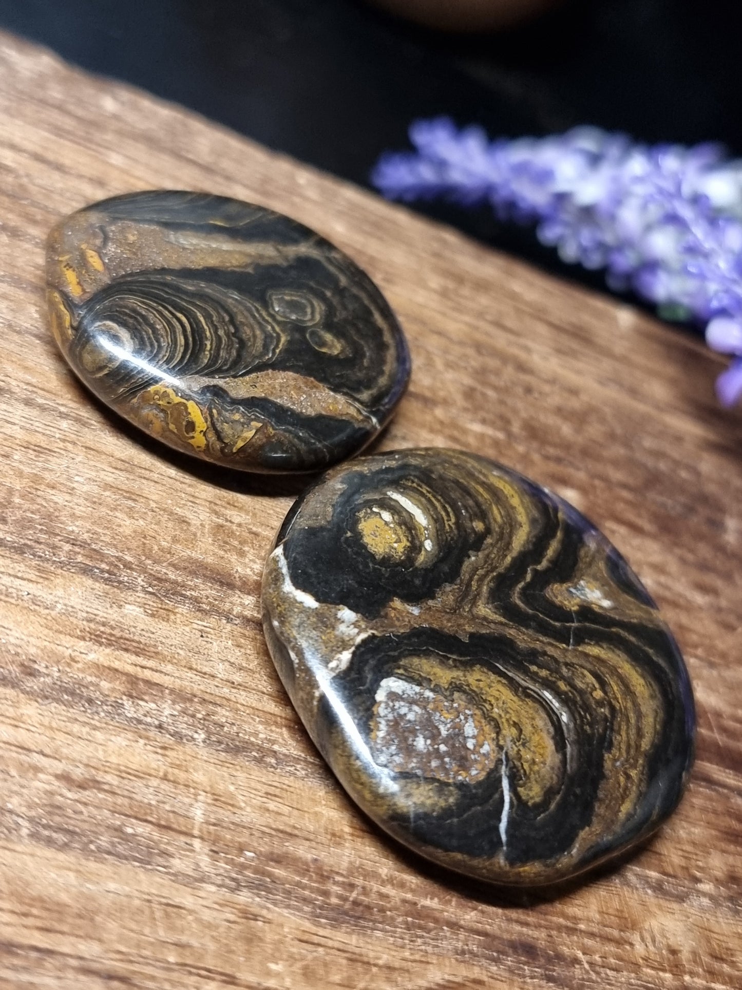 Stromatolite flatstones
