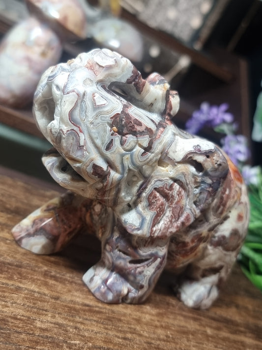 Mexican lace agate elephant