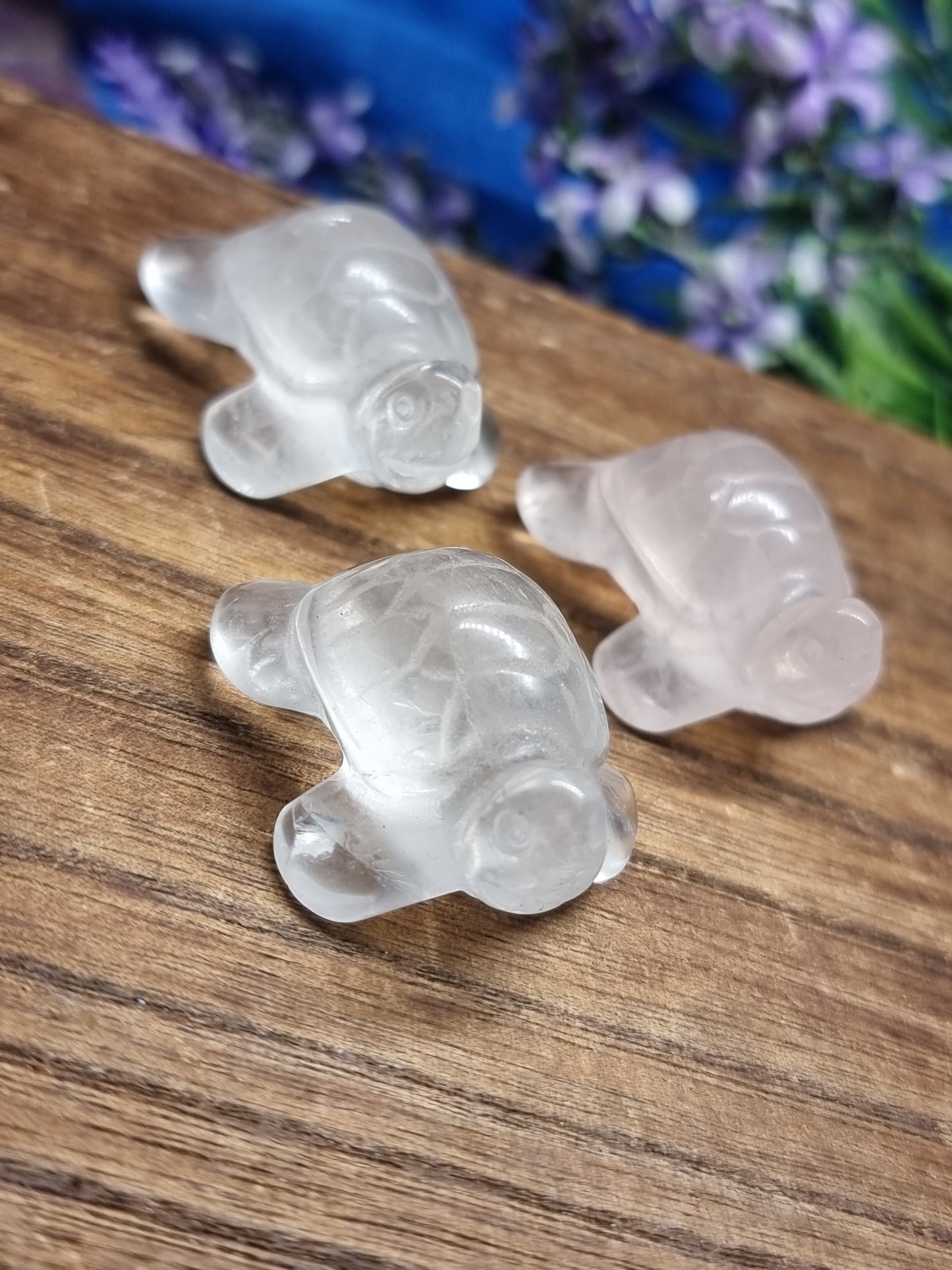 Turtle carvings