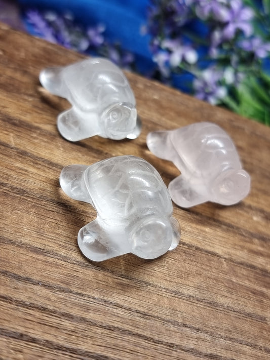 Turtle carvings
