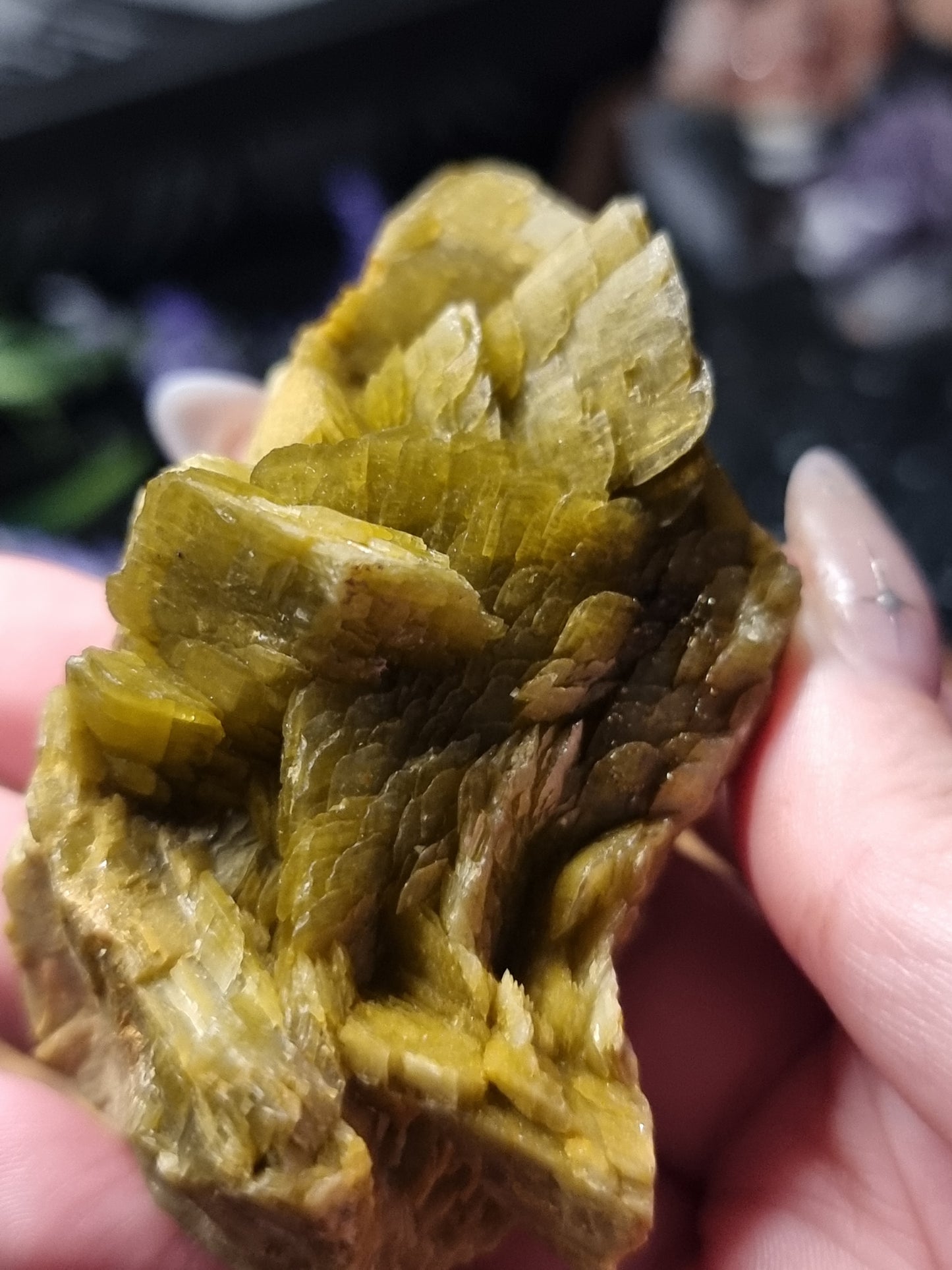 Siderite with microline pyrite