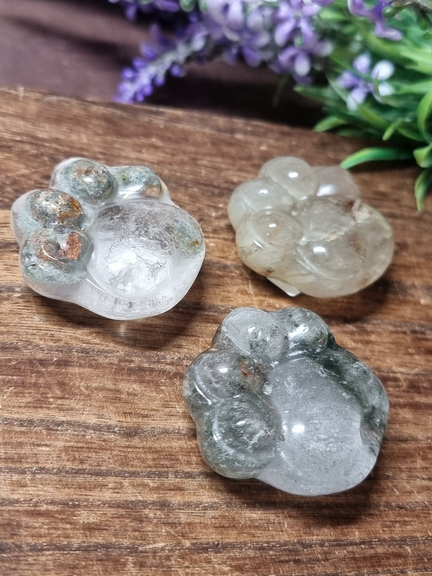 Garden quartz paws