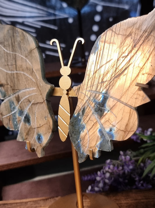 Sunset labradorite butterfly
