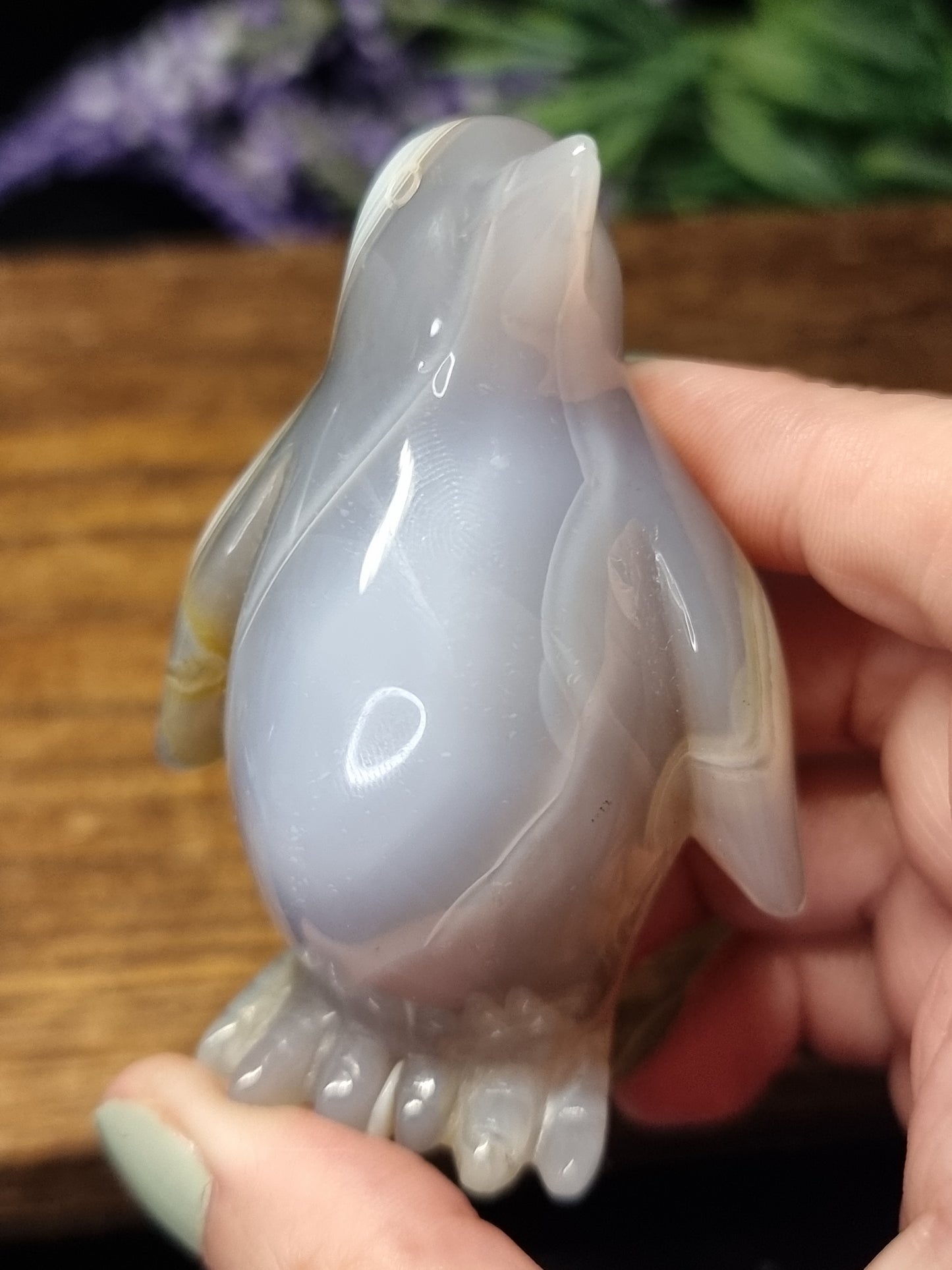 Agate penguin C