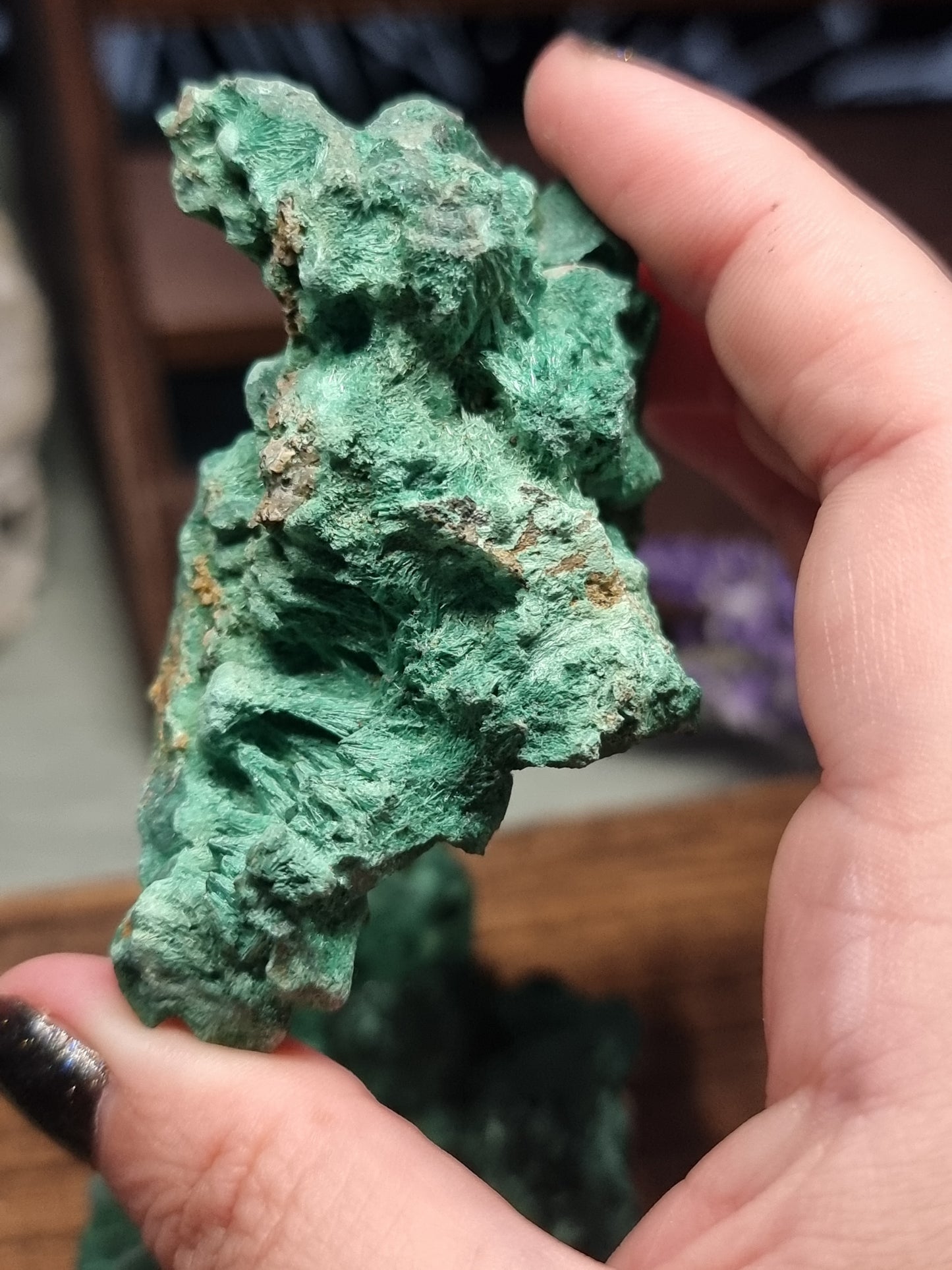 Velvet malachite