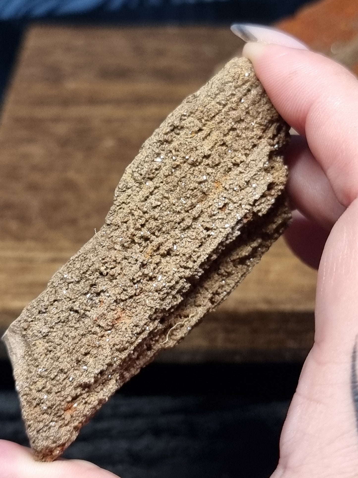 Permineralised wood