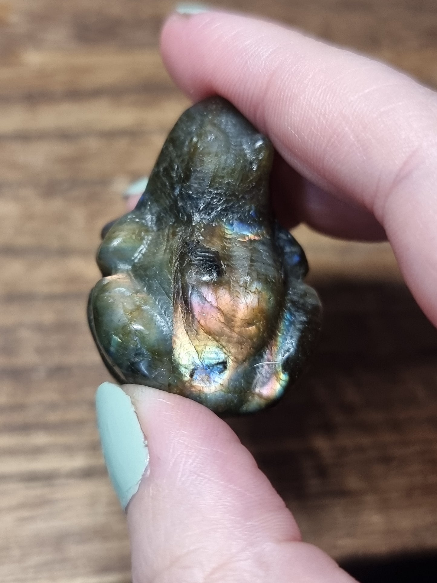 Labradorite frogs