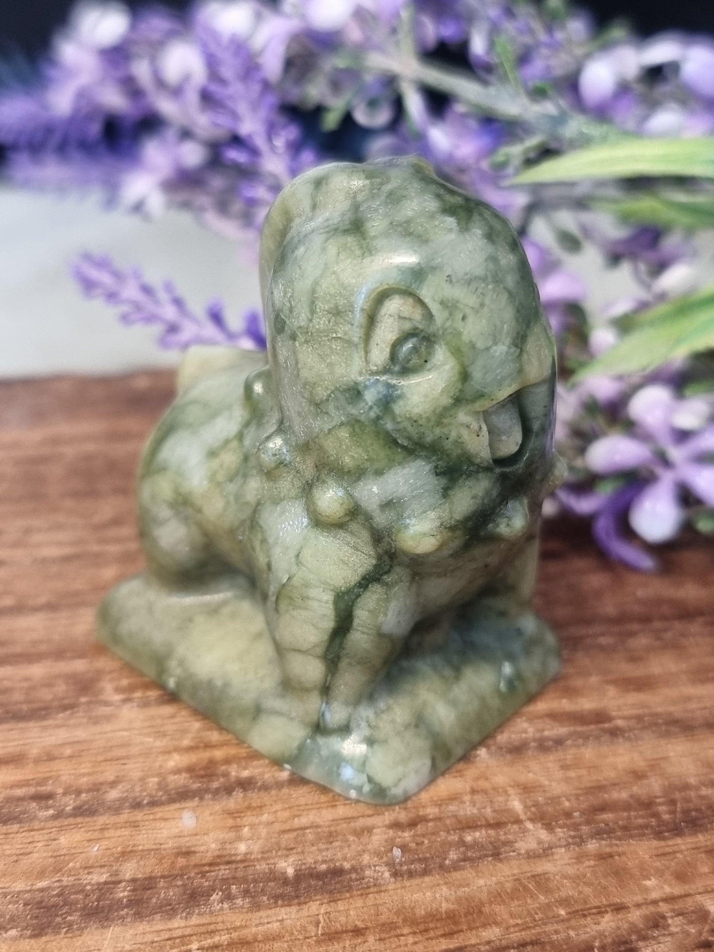 Xiuyan jade chikorita pokemon