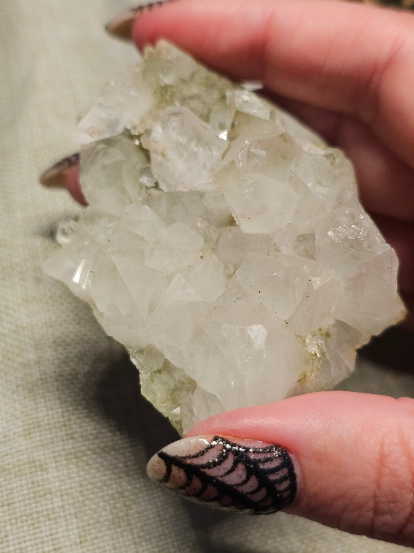 Forest Quartz specimens