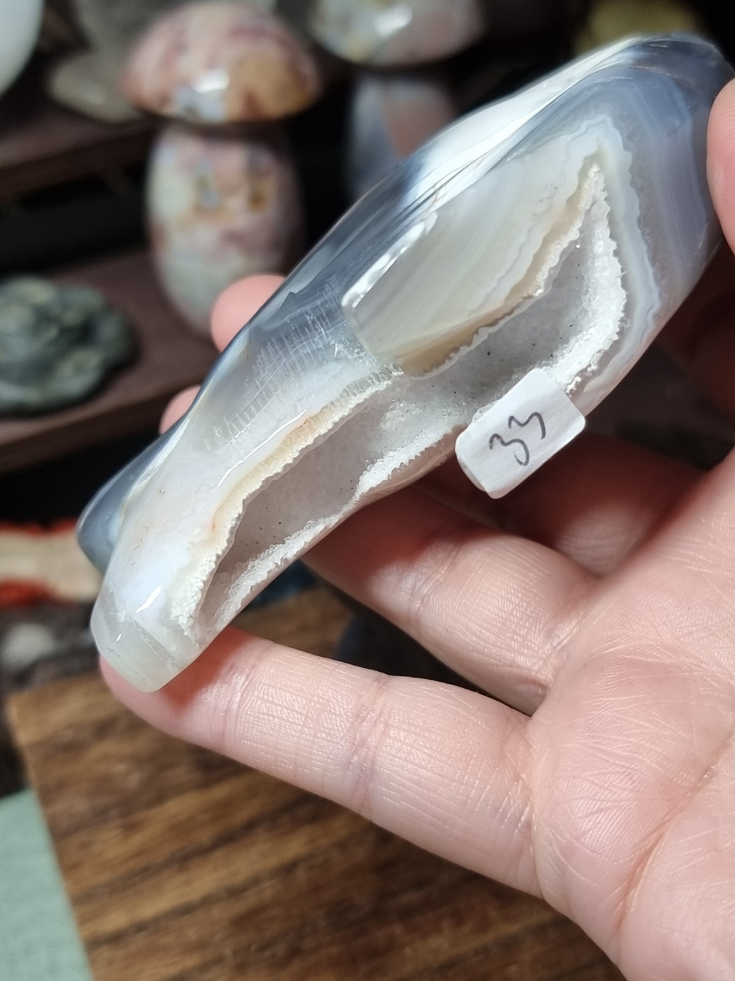 Orca agate sharks