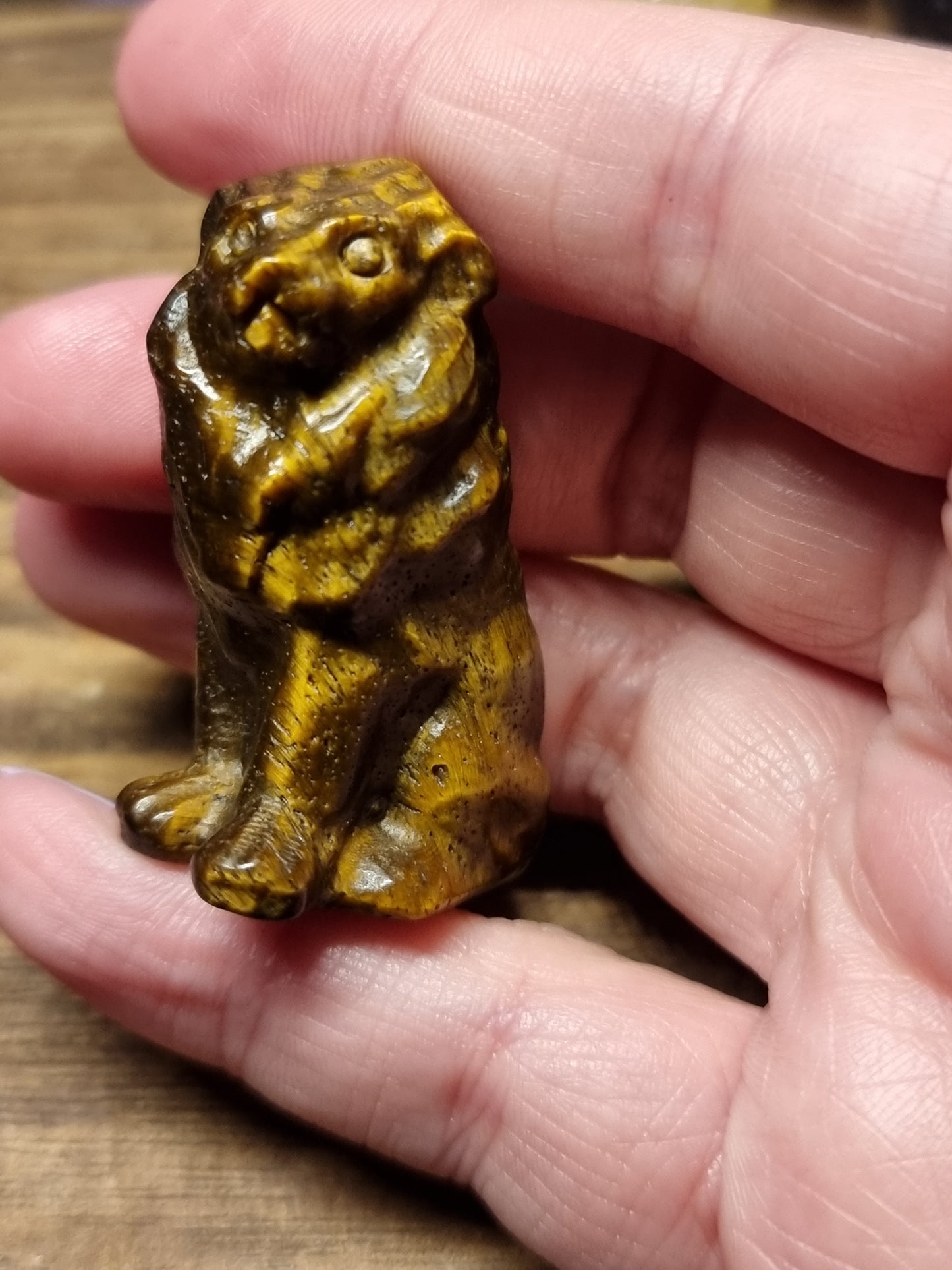 Lion carvings